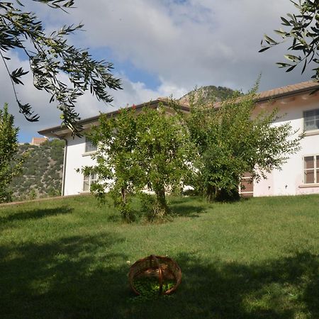 B&B Macchia D'Olmo Capaccio Luaran gambar