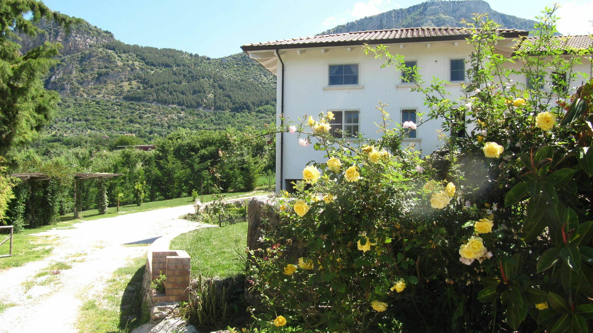 B&B Macchia D'Olmo Capaccio Luaran gambar