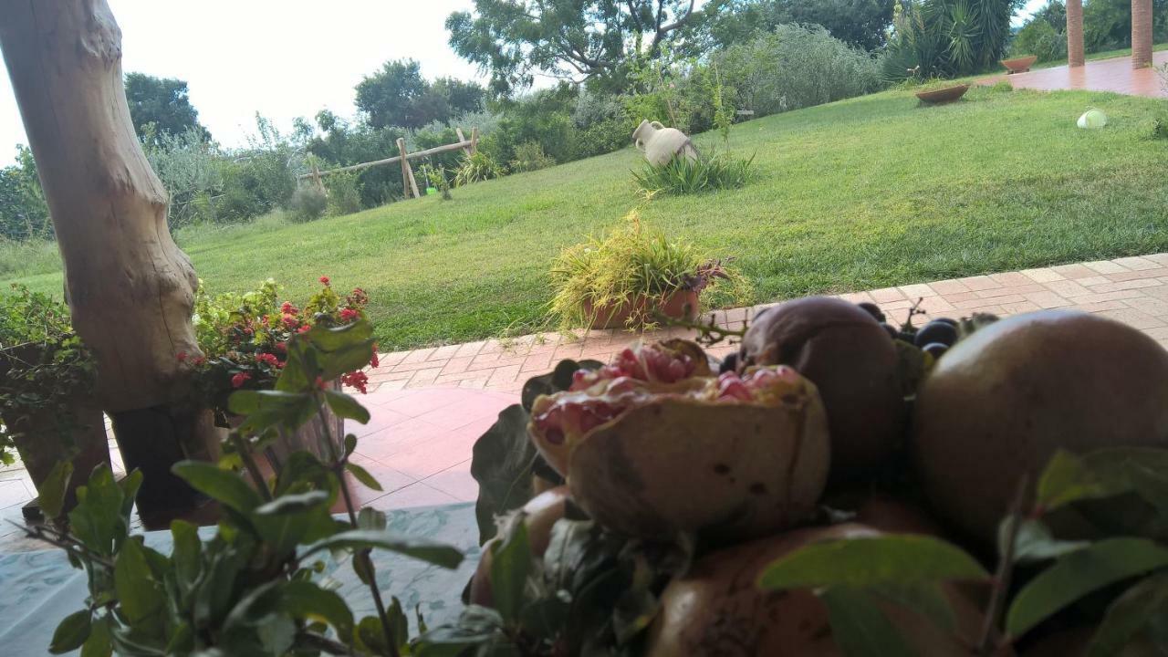 B&B Macchia D'Olmo Capaccio Luaran gambar