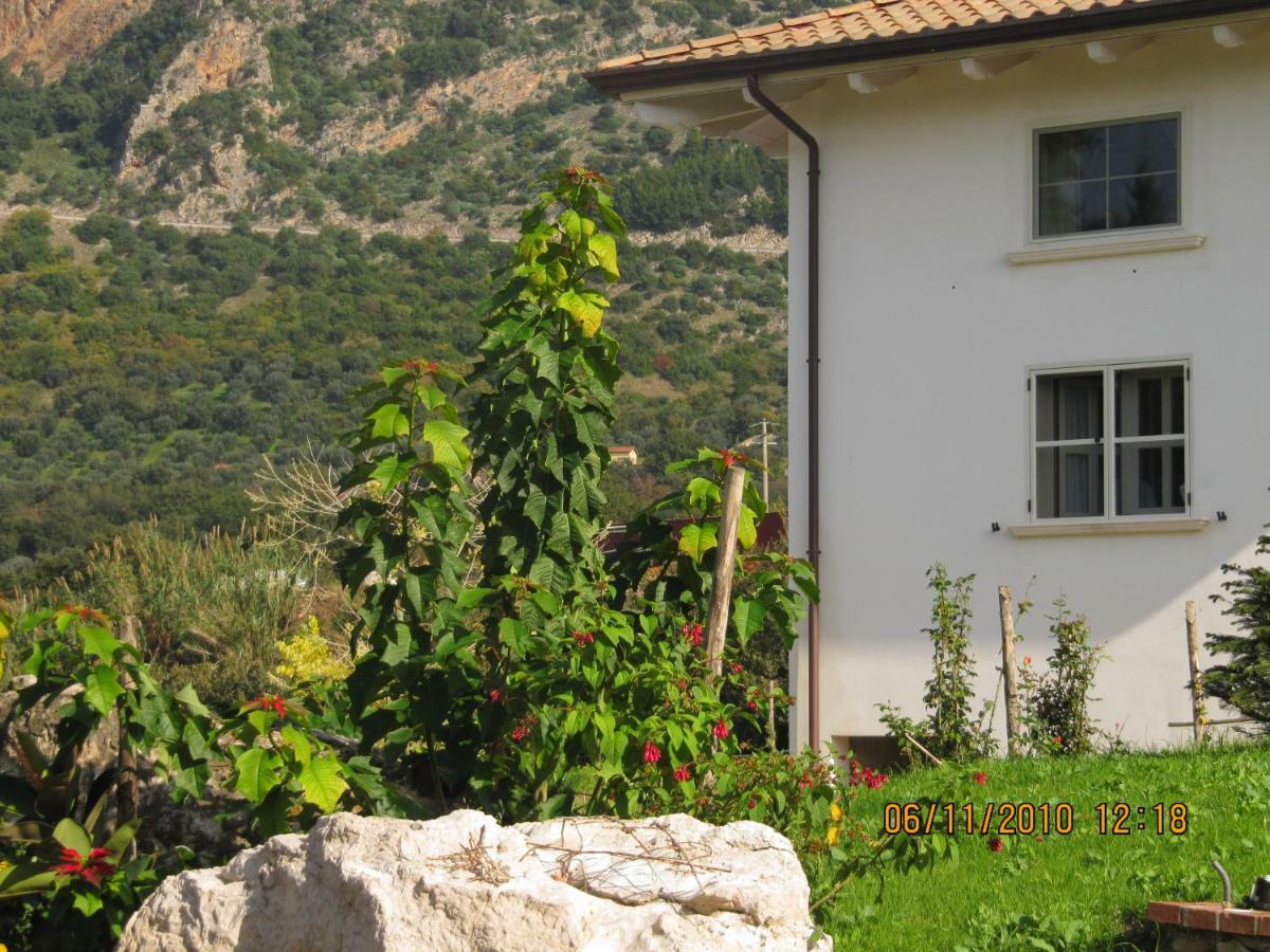B&B Macchia D'Olmo Capaccio Luaran gambar