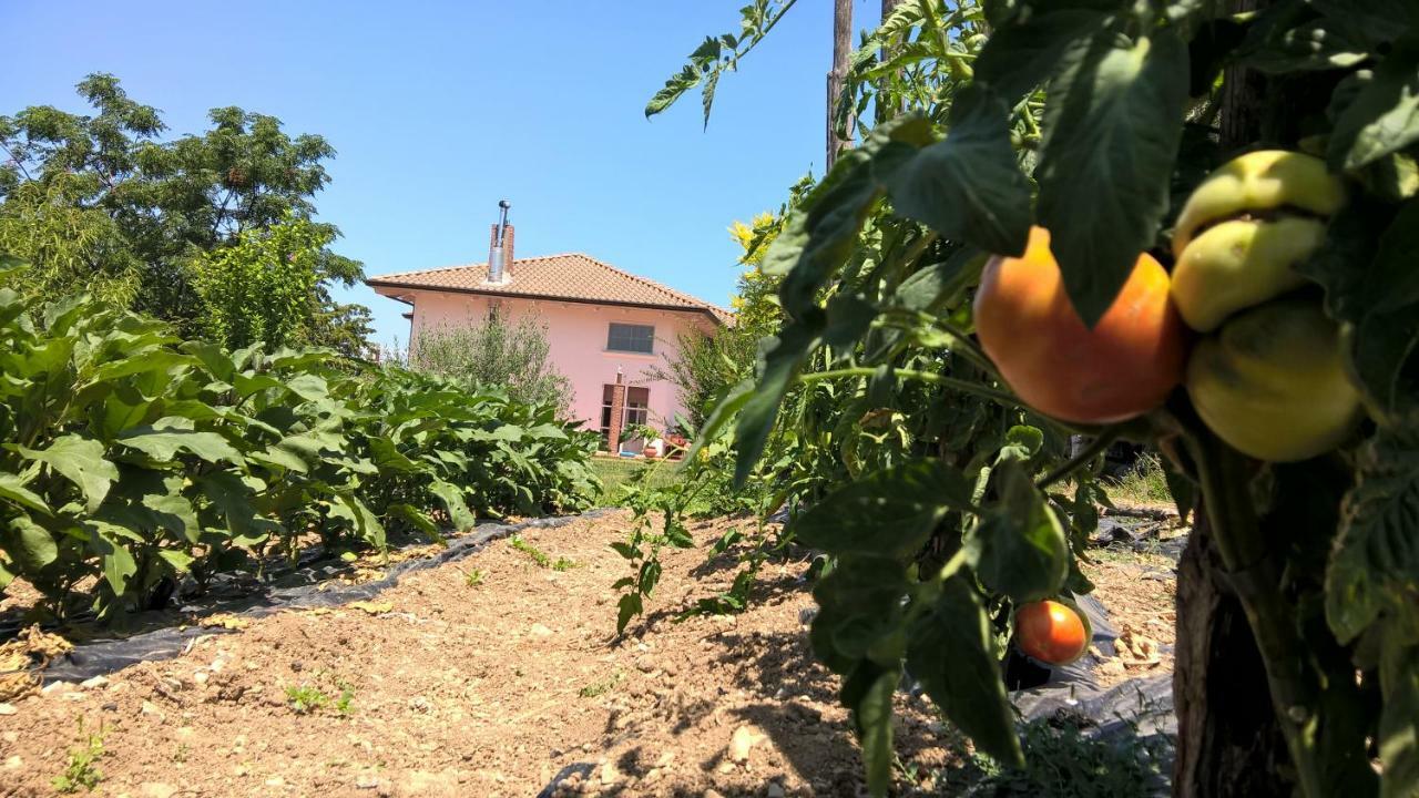 B&B Macchia D'Olmo Capaccio Luaran gambar