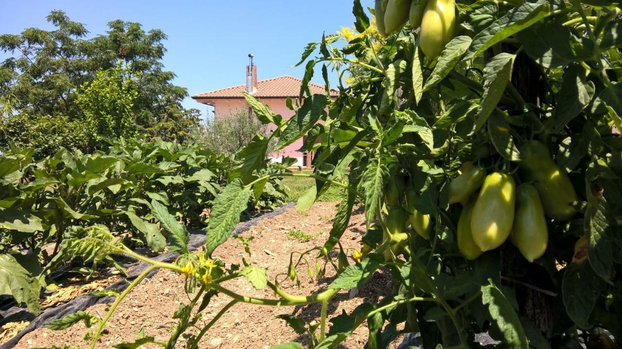 B&B Macchia D'Olmo Capaccio Luaran gambar
