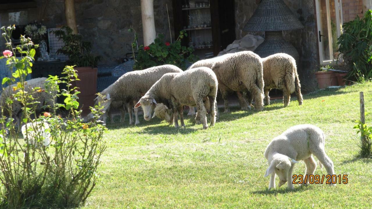 B&B Macchia D'Olmo Capaccio Luaran gambar