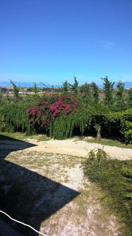 B&B Macchia D'Olmo Capaccio Luaran gambar